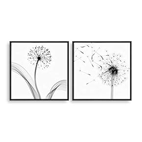 2 Piece Framed Canvas Home Artwork Decoration Transparent Flower Canvas Wall Art for Living Room, Bedroom - 16"x16"x2 Panels