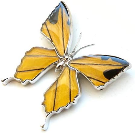 Amazon Psyche 現品 アゲハ蝶デザイン ブローチ兼ペンダント バタフライブローチ キシタアゲハ ブローチ 通販