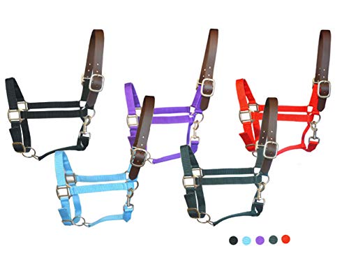 SIE Adjustable Nylon Breakaway Horse Halters (Red, Full)
