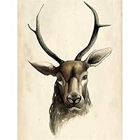 LRRJJ Retro Wall Decoration Elk Deer Picture Canvas Wall Art Decor, Vintage Animals Portrait Painting Pictures Modern Artwork for Kids Room Gifts, Frame Stretched,B,16"x24"