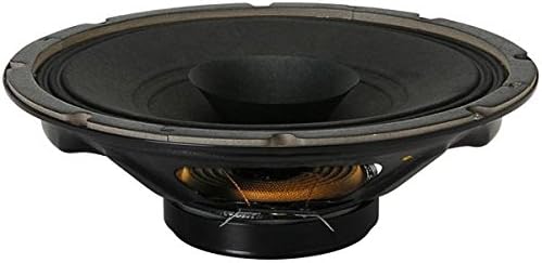 8" Dual Voice Coil Speaker 8 Ohm 20 Watts RMS