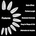 ECBASKET 500 PCS Long Stiletto False Nails Acrylic Nail Tips 10 Sizes Full Cover Fake Nails For DIY Nail Art (Natural)