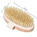 Dry Brushing Body Brush, Natural Bristle Dry Skin Exfoliating Brush Body Scrub for Beautiful Skin, Cellulite Treatment, Lymphatic Drainage, Soften Skin, Blood Circulation Improvement, Medium Strength