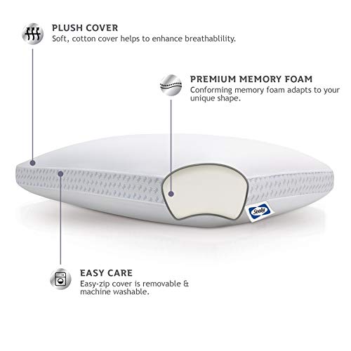 Sealy Molded Memory Foam Pillow, 16 inches x 24 inches x 5. 75 inches