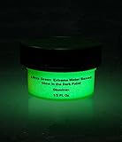 Ultra Green Glominex Extreme Glow in the Dark Premium Paint (1/2 Fluid Ounce)