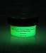 Ultra Green Glominex Extreme Glow in the Dark Premium Paint (1/2 Fluid Ounce)