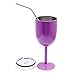 Amzwt Stainless Steel Double Walled Wine Glasses Unbroken Insulated Goblet with Lid and Stainless Steel Straw(10oz Purple)