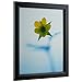 Craig Frames 7171610BK 24 x 36 Inch Poster Frame, Solid Wood, 0.84 Inch Wide, Black