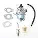 ANTO 16100-ZG9-M12 Carburetor for Honda HR194 HR214 HRA214 HR215 HRB215 HRM215 HRC215 HR216