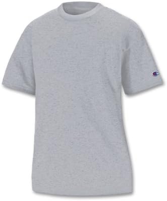 Champion BoysBoys' Big Short Sleeve Jersey Tee, Light Steel, Small