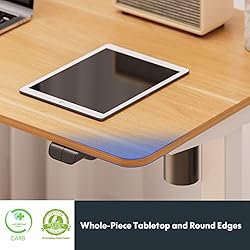 FLEXISPOT Adjustable Height Desk 40 x 24 Inches