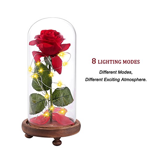 Beauty and Beast Roses, Dream Flower Red Silk Rose with LED Light and Fallen Petals on a Glass Dome Wooden Base, Best for Weddings, Anniversaries, Educational Gifts for Kids