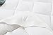 Web Linens Inc King Waterbed - Down Alternative Mattress Pad/Topper-Fully Reversible (Double Life)-1
