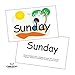 SnapWords Numbers, Colors, Days, Months, and Seasons Pocket Cards | ESL | ELL | Multisensory | Kinesthetic Sight Word Flash Cards
