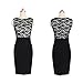 Janecrafts Elegant Pinup Floral Lace Colorblock Bodycon Pencil Shift Dress (M)