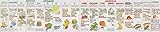 So What Do You Eat? (Wallchart) by 