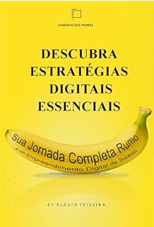 Livro DESCUBRA ESTRATÉGIAS DIGITAIS ESSENCIAIS