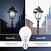 Dusk to Dawn Light Bulb,Build in Light Sensor Detector,9W(60W Equivalent),A19 Photocell Sensor Bulb,No Timer Required,3000K Warm White,for Indoor or Outdoor Use,Boundary,Garage,Patio,2-Pack by Boxlood