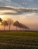 Notebook: landscape field sunset sky clouds trees grass by