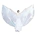 Dance Fairy Portable Telescopic Silver Sticks for Belly Dance Isis Wings, 1 Pair