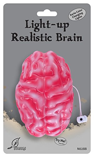 Seasons Color Changing Realistic Brain