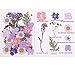 CheeseandU Real Mixed Multiple Dried Pressed Flowers, Chrysanthemum, Baby Breath, Larkspur, Hydrangea, Queen Anne's Lace Alyssum Leaves Natural Pressed Flowers For Art Craft DIY Resin, 34PCS