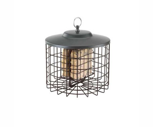 Amazon Com Squirrel Proof Double Suet Feeder Garden Outdoor