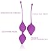 Nautime Kegel Balls Exercise Kit for Women - Medical Silicone Ben Wa Ball - For Bladder Control and Pelvic Floor Weight Set Pleasure Training: Beginner & Advanced (purple)