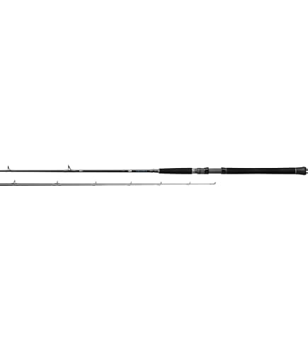 Amazon.com : Daiwa STIN762LFS Rod-Saltist Inshore Sections= 2 Line