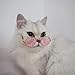 Stock Show Funny Cute Dog Retro Fashion Sunglasses Mosaic Glasses Transparent Eye-wear Protection Puppy Teacher Bachelor Cosplay Glasses Pink