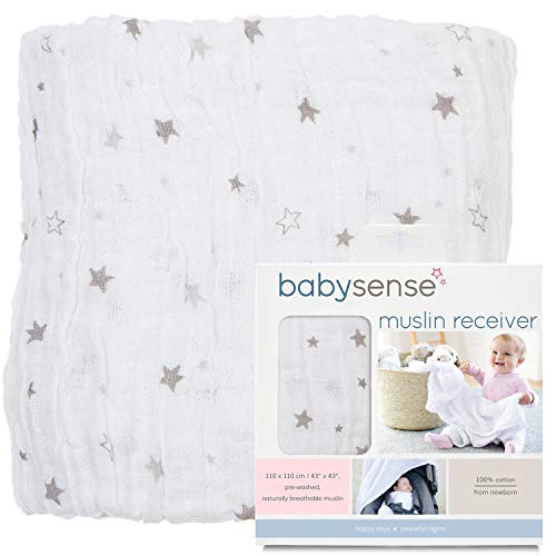 Best infant car seat receivers