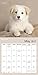 Rachael Hale Dogs Wall Calendar (2017)
