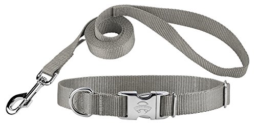 Country Brook Design 3/4 Inch Deluxe Nylon Dog Collar and Leash - Silver - S