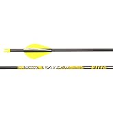 Victory Archery VAP 0.166" 200/250/300/350/400/500/600 Spine Micro Diameter Carbon Hunting Arrow Vane Fletched 6 Pack