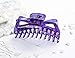 Prettyou Thick Hair Super Large Clips Crystal Plastic Claw Clamps Hairgrips Clips Accessories for Women, 2 pack. (F)
