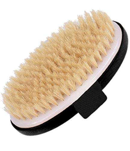 Exfoliating Brush Dry Brush For Wet or Dry