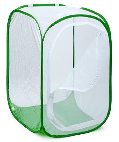 RESTCLOUD Large Butterfly Habitat