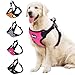 BINGPET No Pull Dog Harness Adjustable Soft Vest Reflective for Outdoor Walking, Pink Small