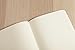 Clairefontaine - Ref 793432C - Age Bag Thread-Bound Notebook (192 Pages) - A5 Size, Dot Rulings, 90gsm Brushed Vellum Paper, Elastic Closure - Red Cover