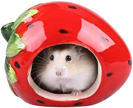 hamster house amazon