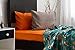 Chital 4 Pc Twin Bed Sheets | Gender Neutral Cat Print Kids Bedding Set | Pet Lovers Gift Idea | 1 Flat, 1 Fitted Sheet; 2 Pillow Cases | Durable Super-Soft, Double-Brushed Microfiber | 15” Deep