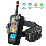 canavis dog shock collar