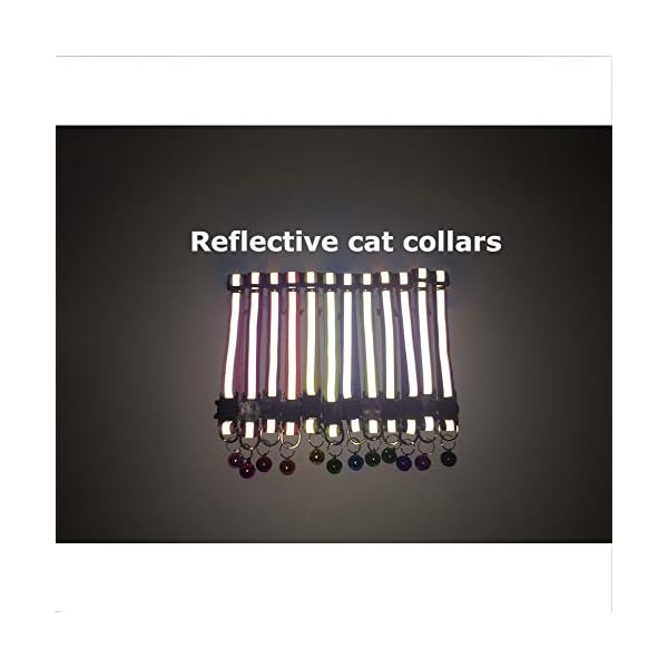 Tafeiya-12-PACK-Reflective-Cat-Collars-Quick-Release-Safety-Buckle-with-Bell-Adjustable19-32cm-Multi-colored Tafeiya 12 PACK Reflective Cat Collars Quick Release Safety Buckle with Bell Adjustable19-32cm (Multi-colored)