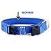 Reflective Dog Collar & Leash by PET GALLO: Padded Reflective 100% Pure Nylon Dog Collar with Reflective Nylon Pipe | Zinc Alloy Clip 7 & X-Crossed Reinforced Double Stitching on Lead |Color Blue (L)