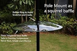 13 1/2 Inch Clear Glass Two-Way Squirrel Baffle and