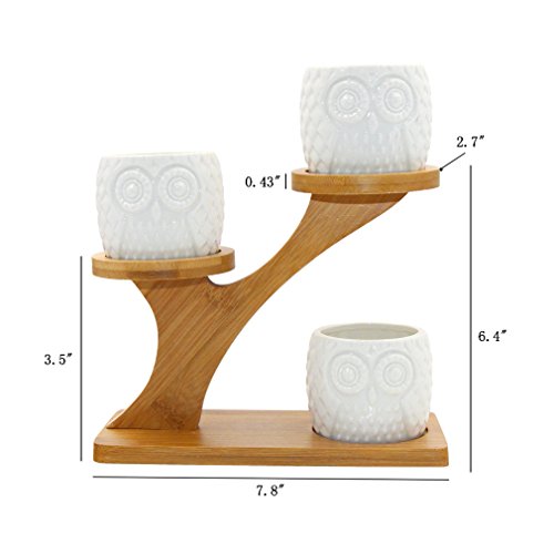 3 Pack Owl Ceramic Succulent Plant Pots with Bamboo Tray