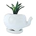 White Elephant Gift Elephant Planter with Saucer Tray. Elephant Gifts, Fits Small Succulent/Flower. Elephant Decor for Home/Office (Elephant, White)