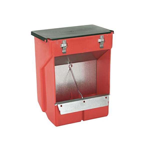 Novital 74105 - Mangiatoia A Tramoggia A 2 Scomparti