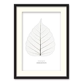 NWT Black Paper Framed Canvas Wall Art for...