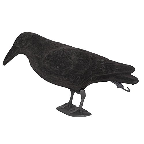 New-look Crow Decoy Hunting Garden Flocked Hard Plastic Jet Black Crow Decoy Hunting Stand Body Feet Stake
